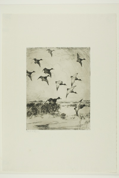 Ducks Flying Over Water