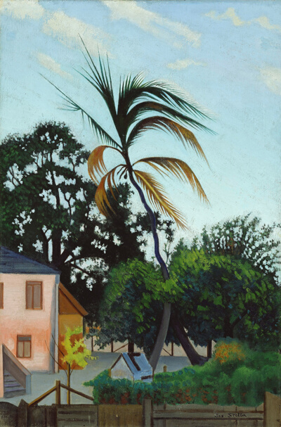 Palm Tree, Barbados