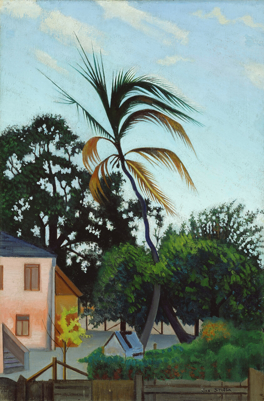 Palm Tree, Barbados