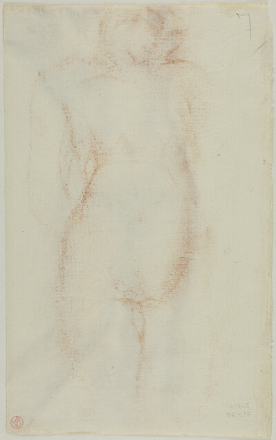 Woman Seen From Behind