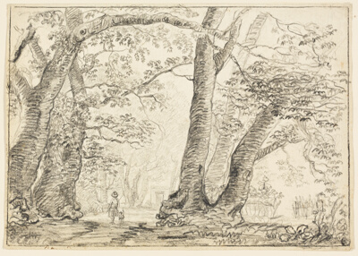 Man with Dog in Forest