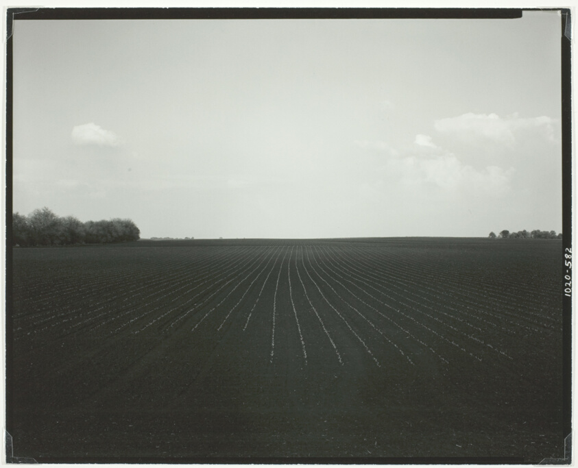 Illinois Landscape