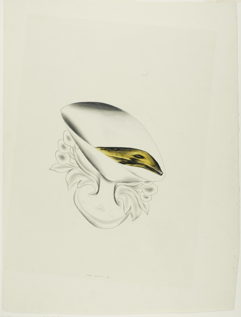 Dish with Banana