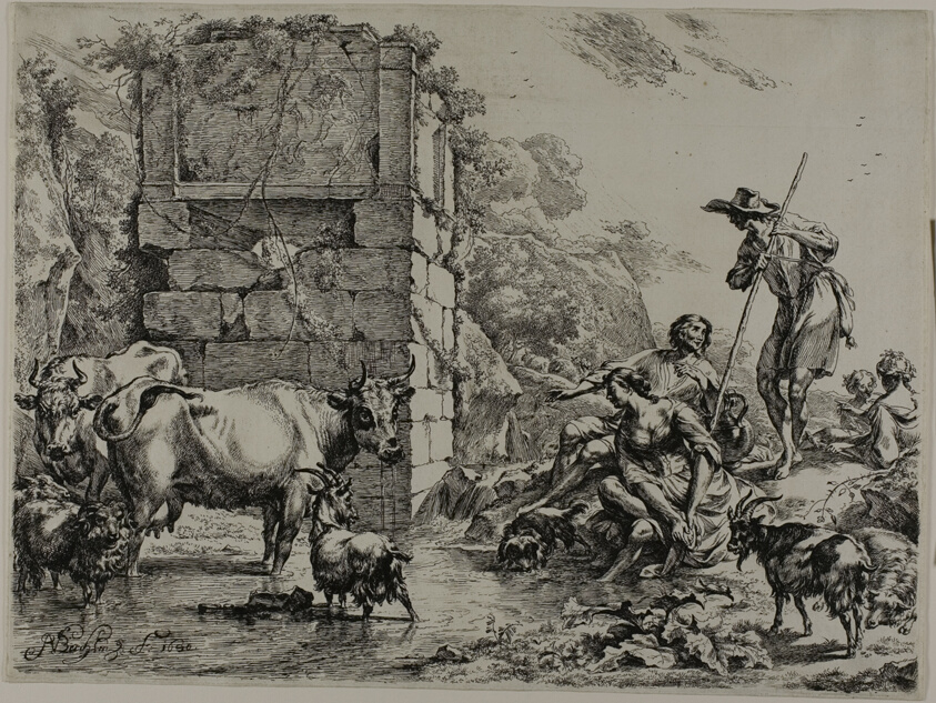 Cow Drinking