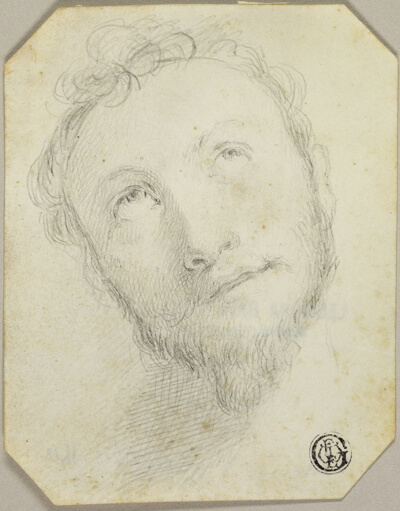 Head of Bearded Man Looking Upwards