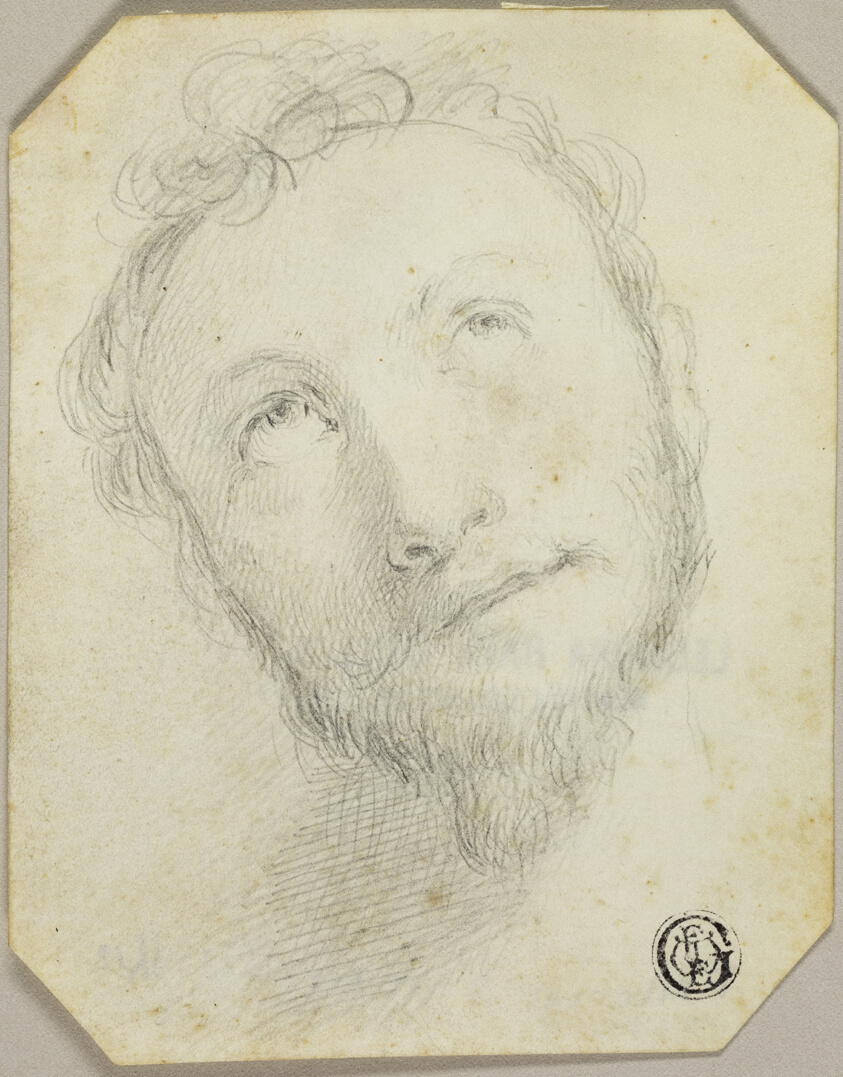 Head of Bearded Man Looking Upwards