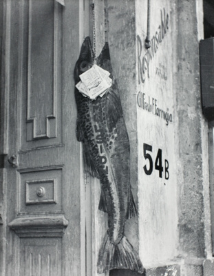 The Big Fish Eats the Small Ones (El pez grande se come a Los chicos)