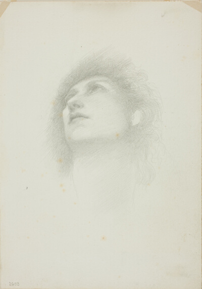Head of a Woman with Face Upturned