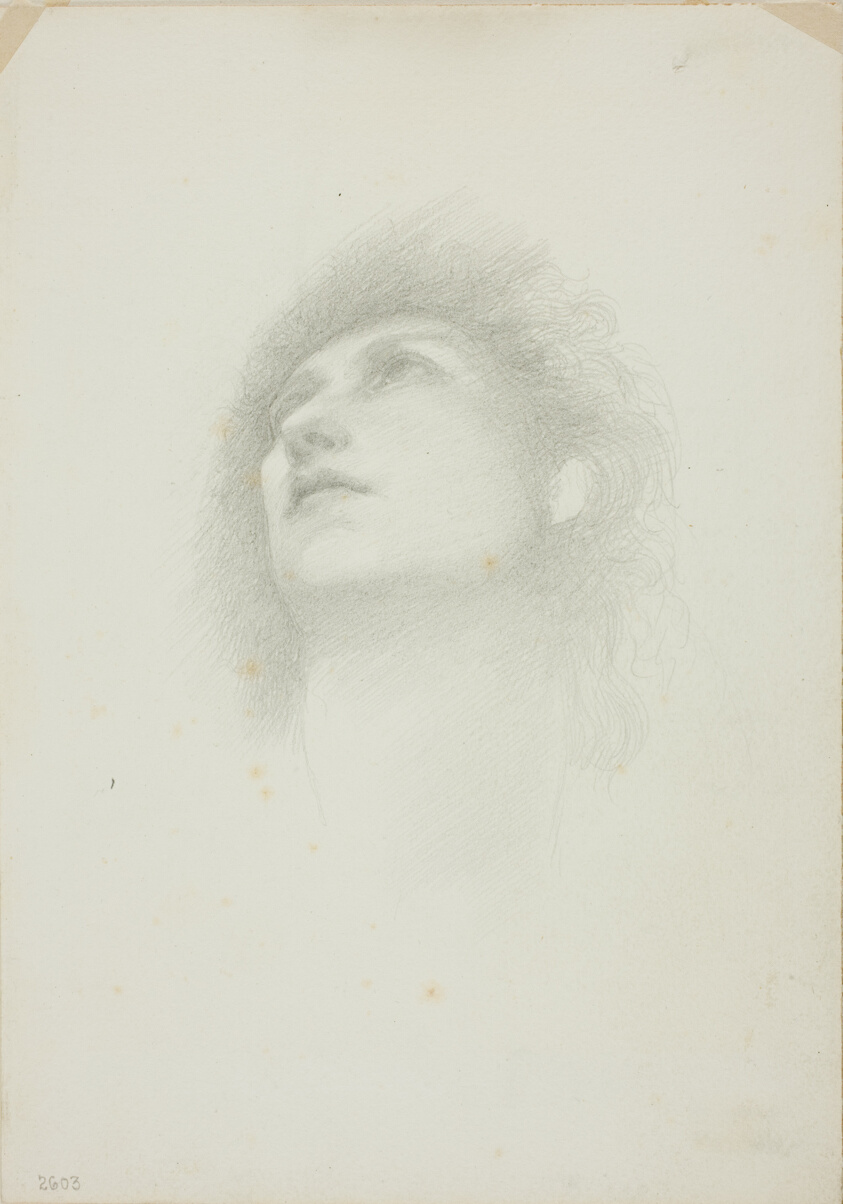 Head of a Woman with Face Upturned