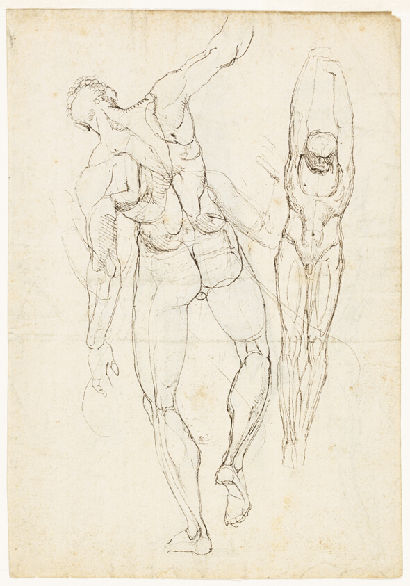 Figure Studies (recto and verso)