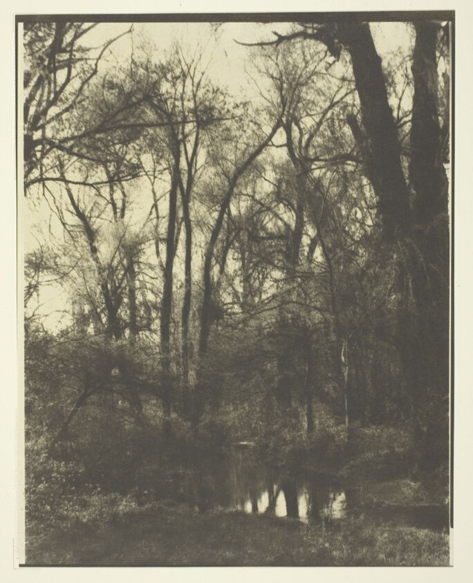Arboretum, Lisle, Illinois