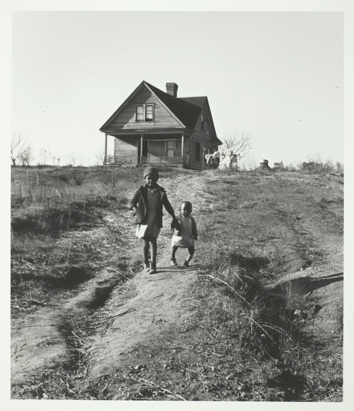 Tenant Farmer's Children, Younger One with Rickets from Malnutrition. Eroded Land the Result of Tobacco-Cotton Weevel. Wadesboro, North Carolina