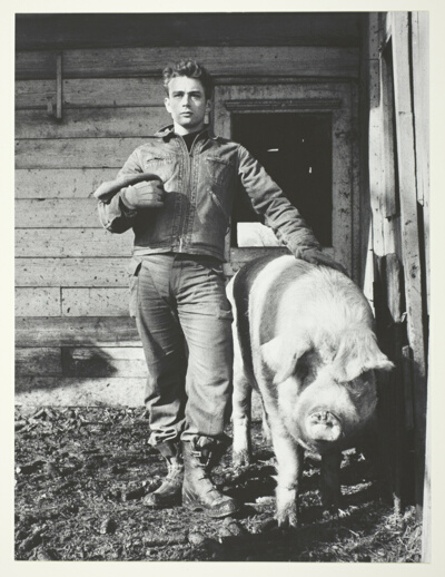 Jimmy Posing with a Hog