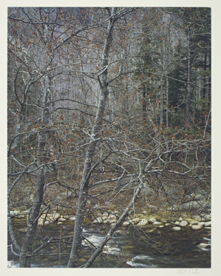 Red Maples, New Hampshire