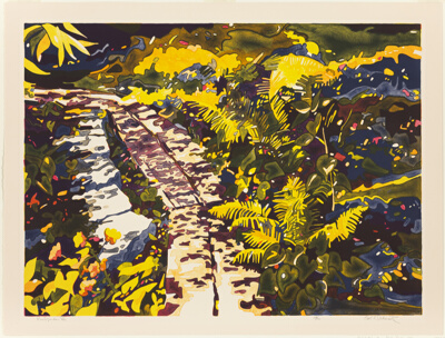 Rock Garden VII