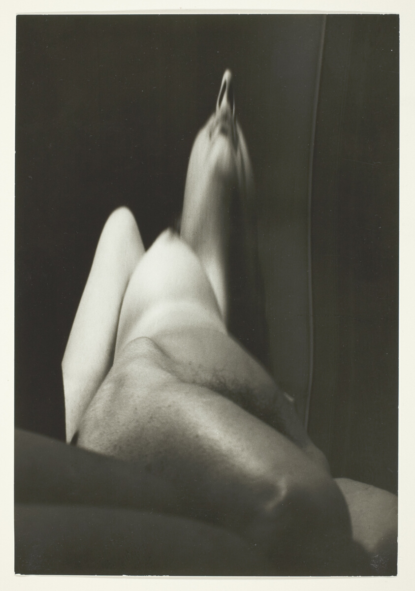Untitled (Distortion #159)