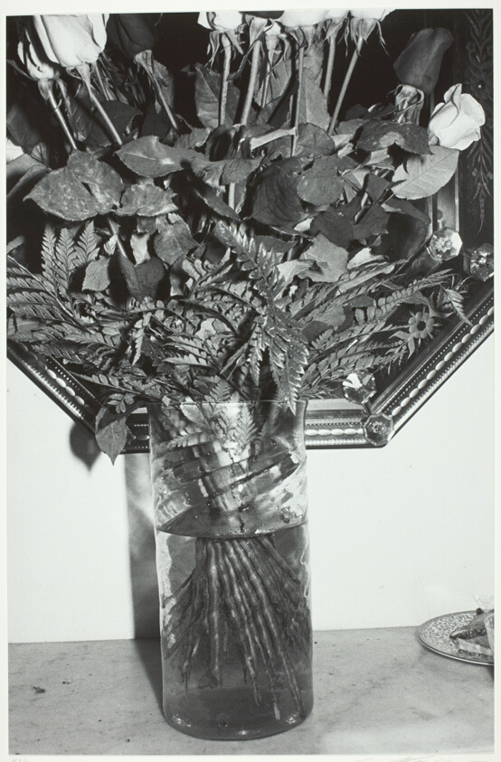 Roses in Vase, New York City