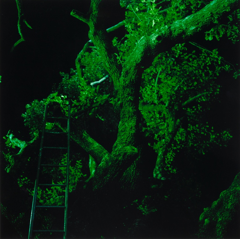 Untitled, from the series "Dream Villa" (2010)