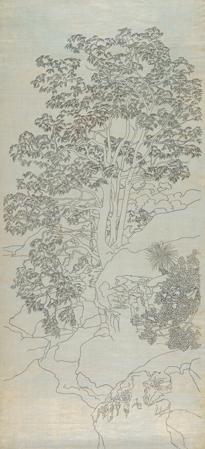 Tree Study Number Eight: Eucalyptus Tree