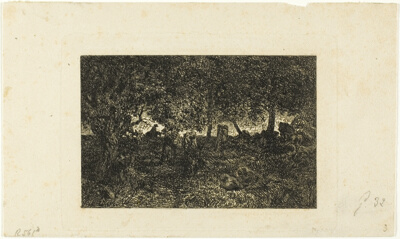 In the Forest