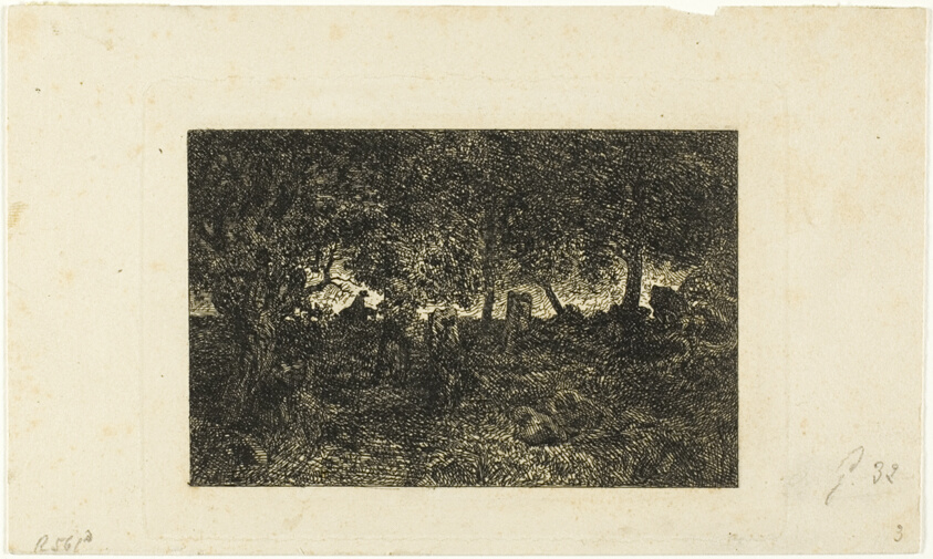 In the Forest