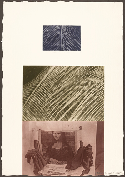 The Razorback Bunch (Etching V)