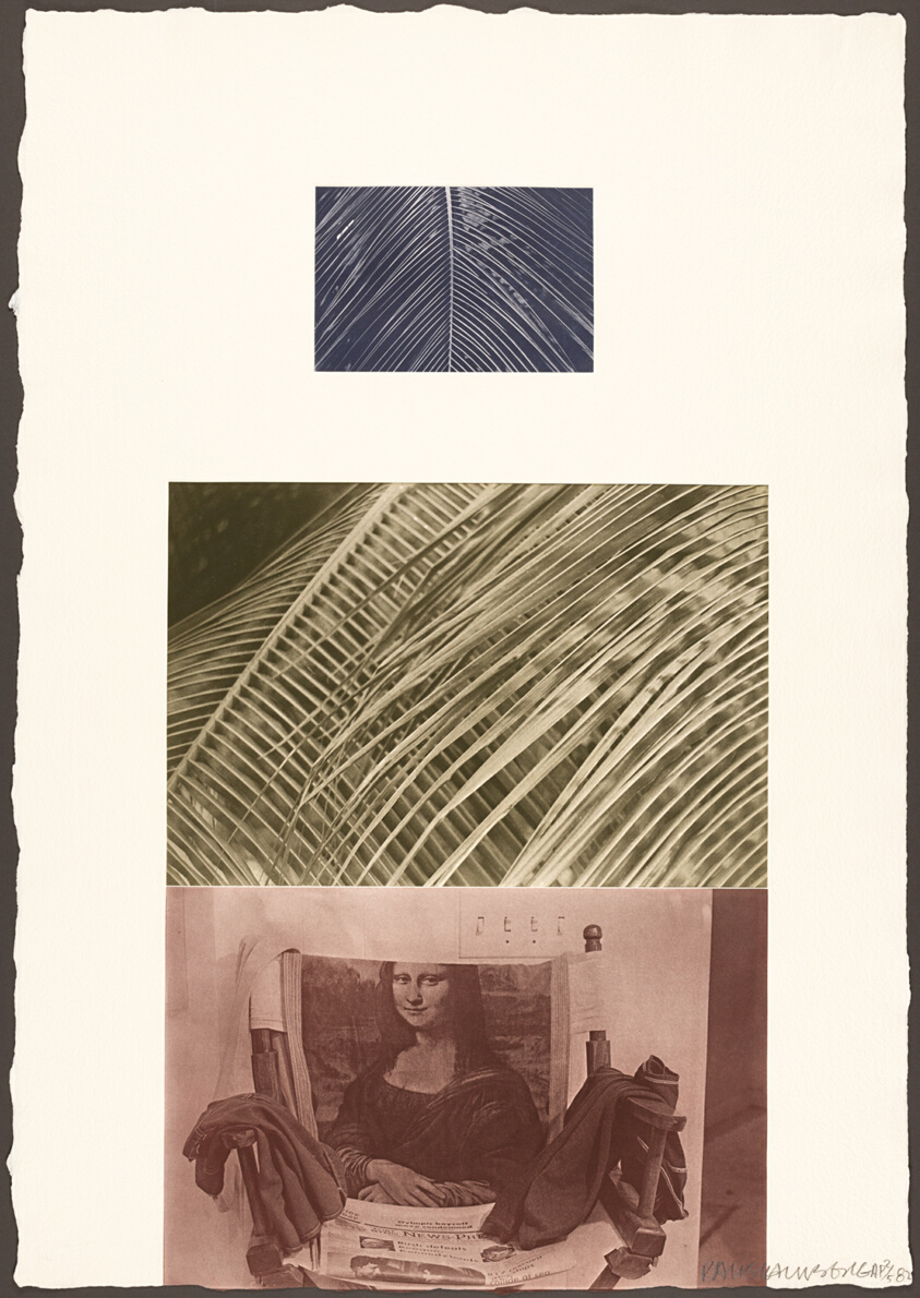 The Razorback Bunch (Etching V)