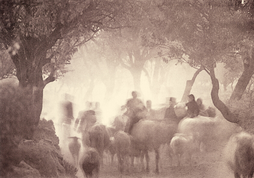 Cretan Landscape