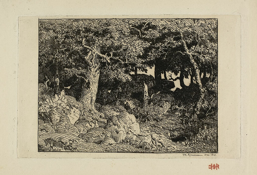 Rock Oaks