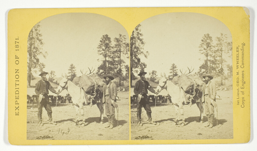 Mountain transportation. Pack mule, Pack and Packers, No. 7 from the series "Geographical Explorations and Surveys West of the 100th Meridian"