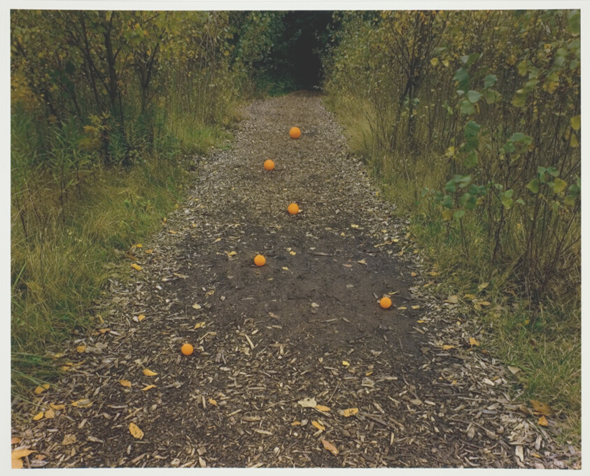 Six Oranges, Buffalo, New York