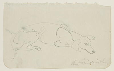 Sleeping Dog Facing Right