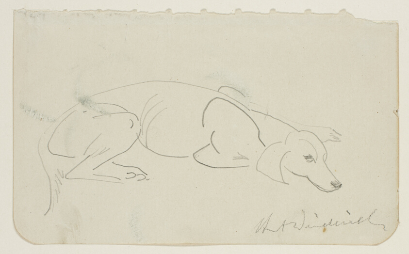Sleeping Dog Facing Right