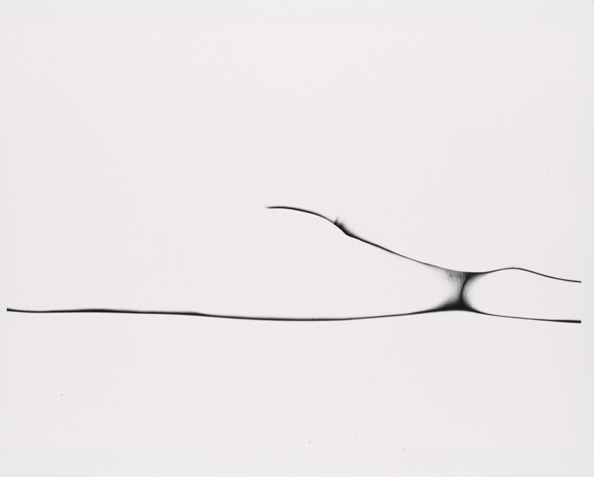 Human Form, from the series "Human Form"
