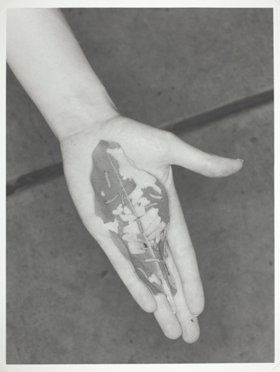Leaf/Hand