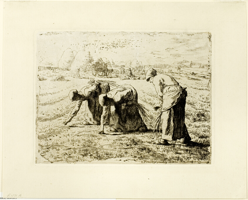 The Gleaners