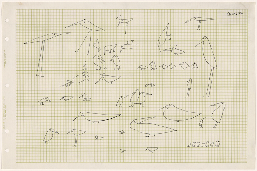Birds