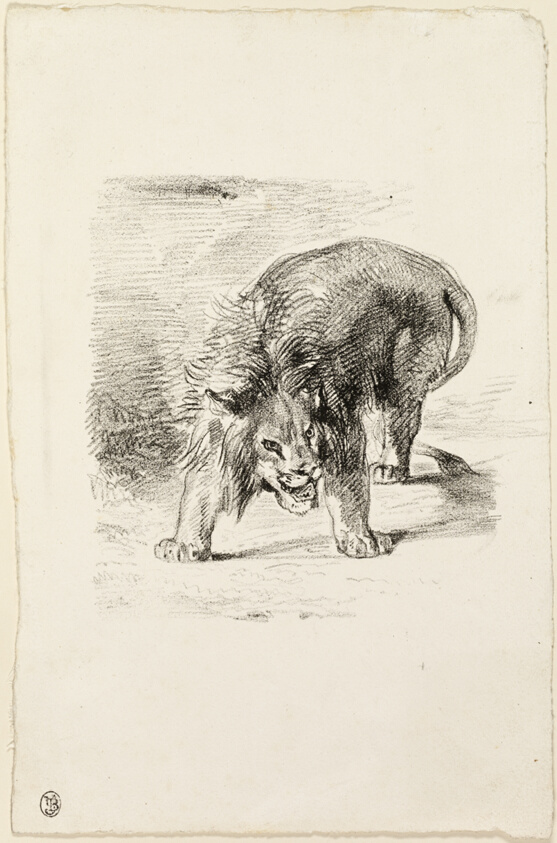 Standing Lion