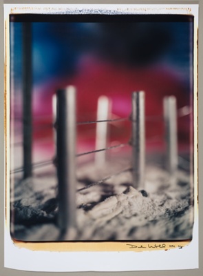 Untitled, from the series "Mein Kampf"