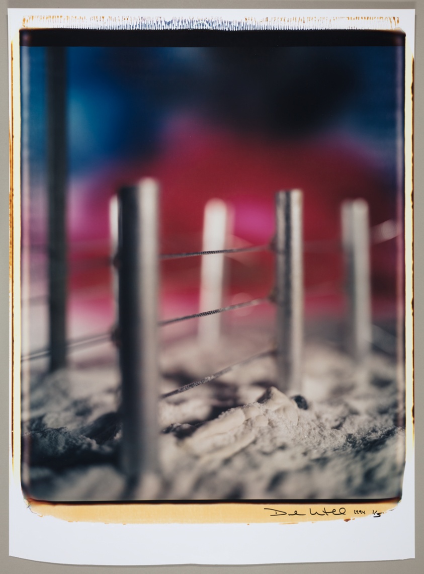 Untitled, from the series "Mein Kampf"