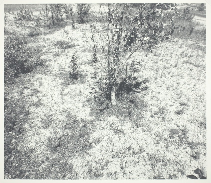 Broken Country #6, 1985