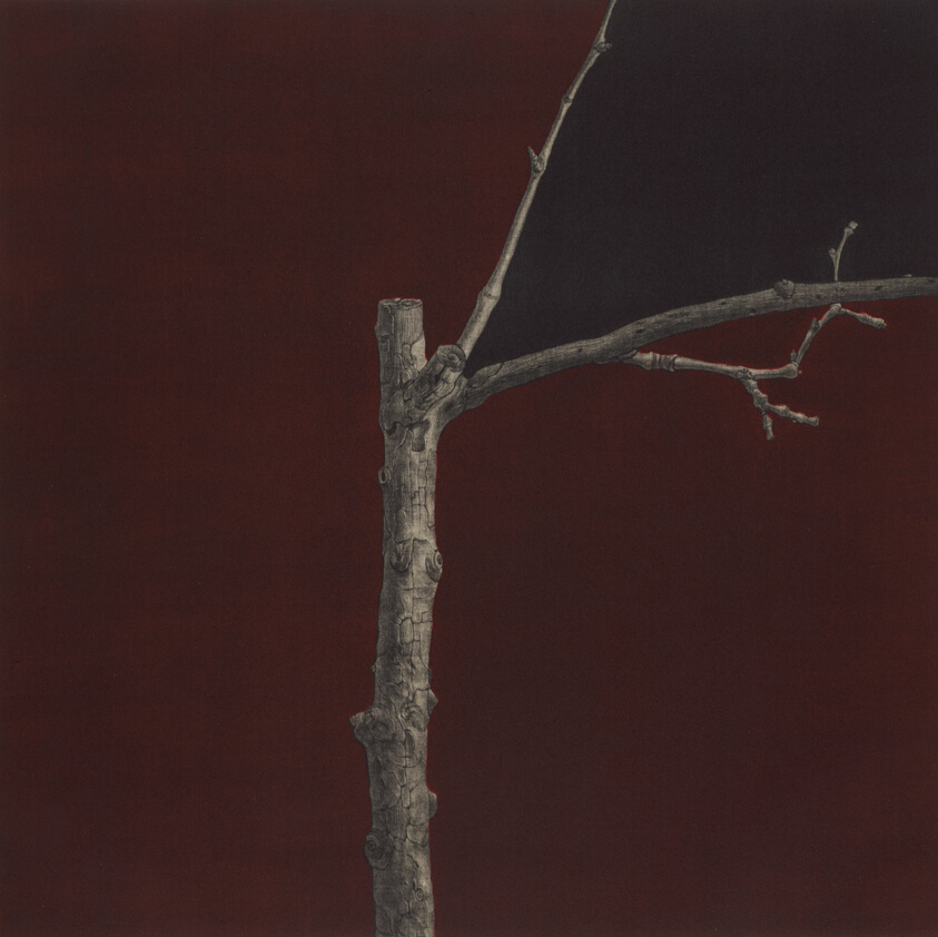 Crevice—Work #2