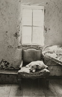 Slovakia (unknown locality), from the series "Gypsies (Cikáni)"