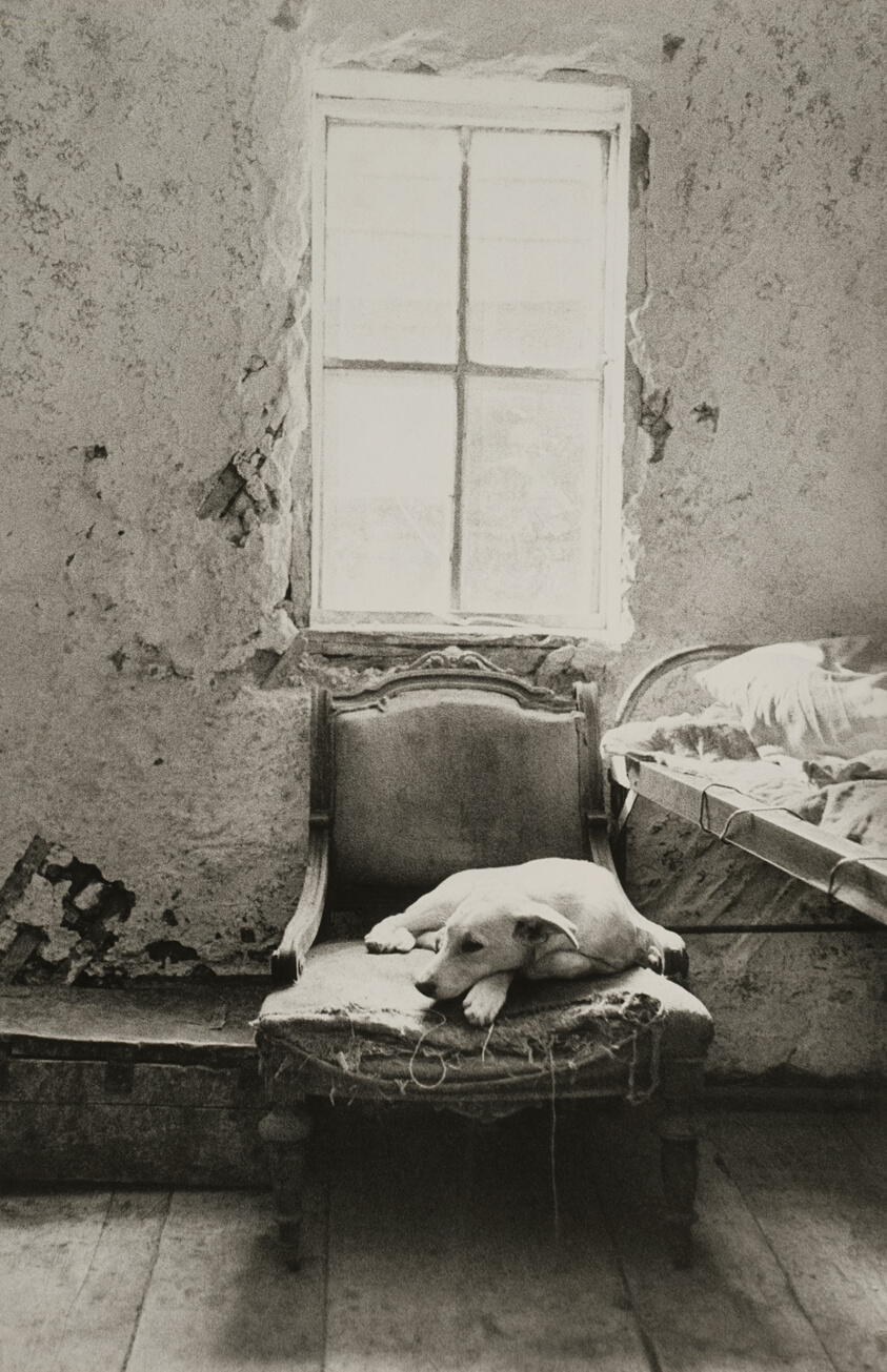 Slovakia (unknown locality), from the series "Gypsies (Cikáni)"