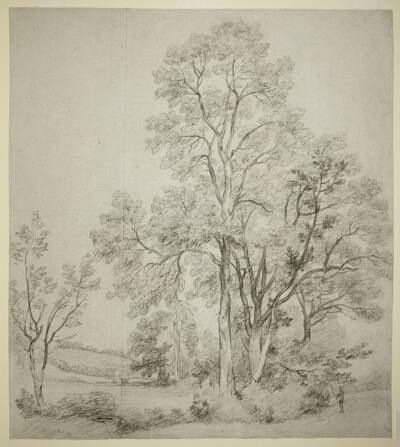 A Stand of Elm Trees (recto); A Study of East Bergholt with the Church (verso)