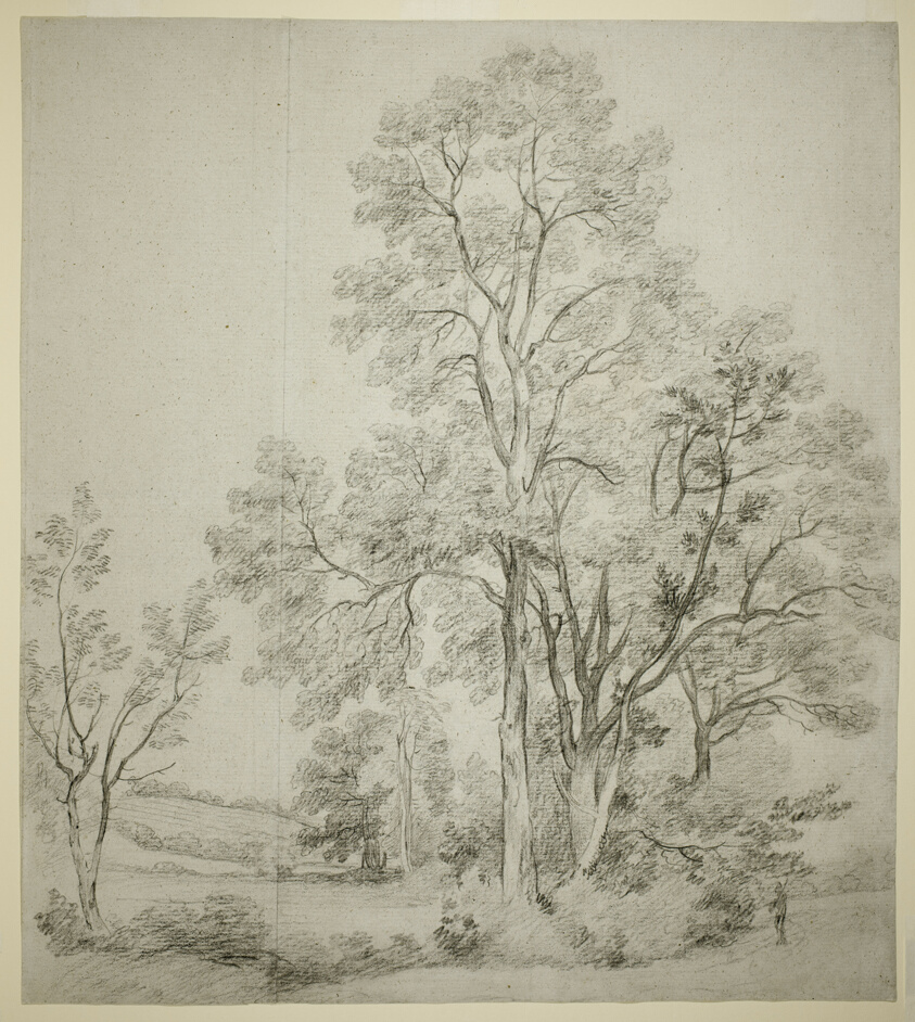 A Stand of Elm Trees (recto); A Study of East Bergholt with the Church (verso)