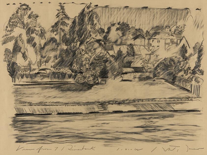 View from the Riverbank