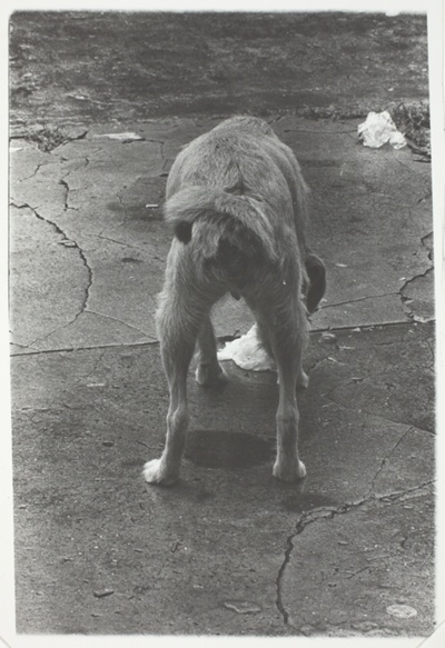 Untitled (Savannah, GA)