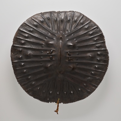 Shield