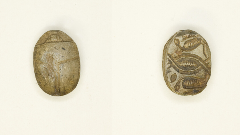 Scarab: Cobras Addorsed and Linked